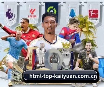 html-top-kaiiyuan.com.cn APP
