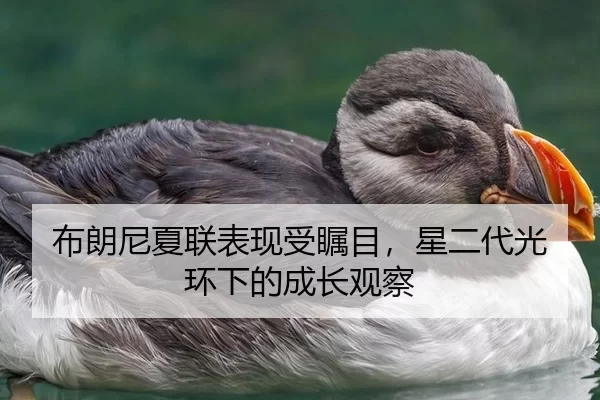 布朗尼夏联表现受瞩目，星二代光环下的成长观察