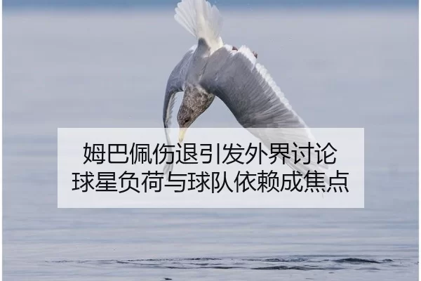 姆巴佩伤退引发外界讨论 球星负荷与球队依赖成焦点